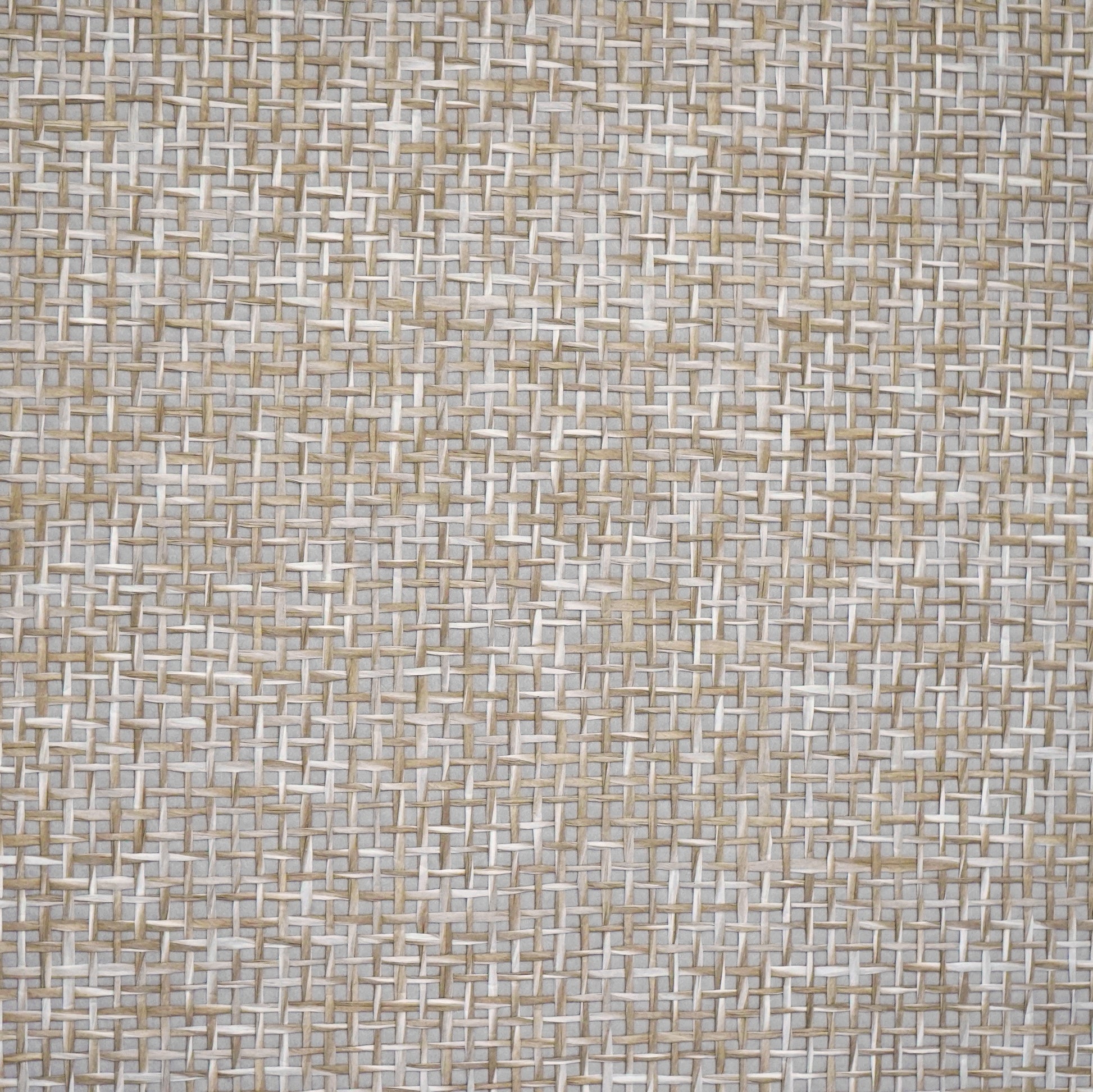 W010103 textured wallpaper detail